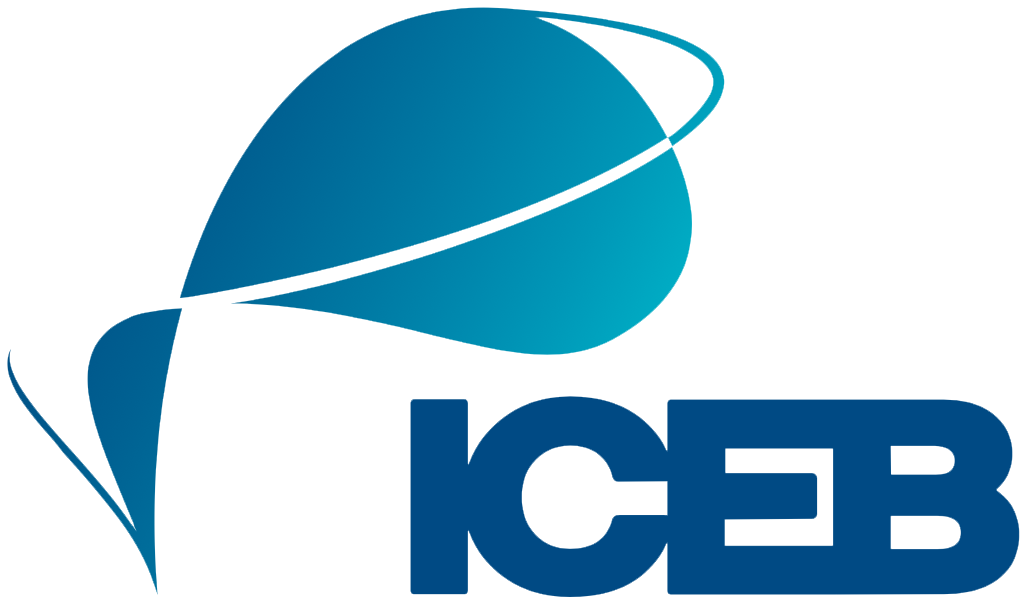 Logo instytutu ICEB